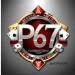 P67 Game